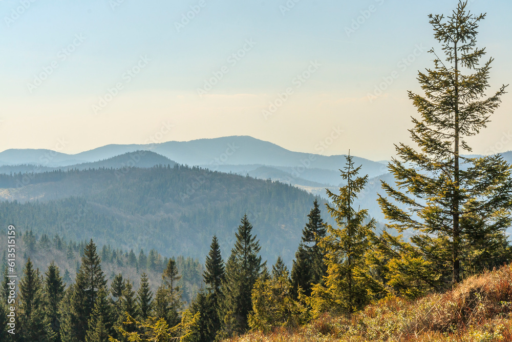 View of the peaks of Beskid Żywiecki (Poland) from the hiking trail near Rycerzowa on an spring sunny day