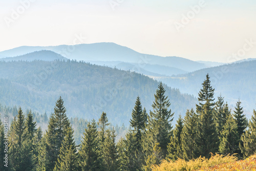 View of the peaks of Beskid Żywiecki (Poland) from the hiking trail near Rycerzowa on an spring sunny day
