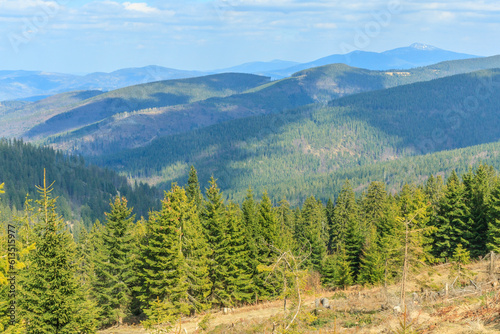 View of the peaks of Beskid Żywiecki and the Babia Góra massif - in the background on the right - from the yellow tourist trail near Romanka on a spring sunny day