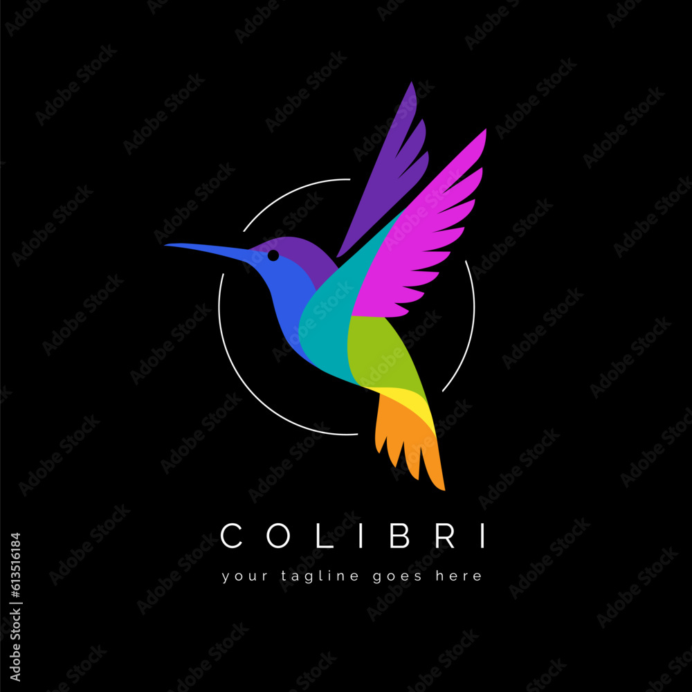Colorful hummingbird logo on black background. - obrazy, fototapety, plakaty 