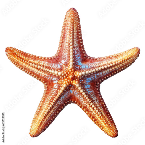 Starfish isolated on white, transparent background, PNG, generative ai