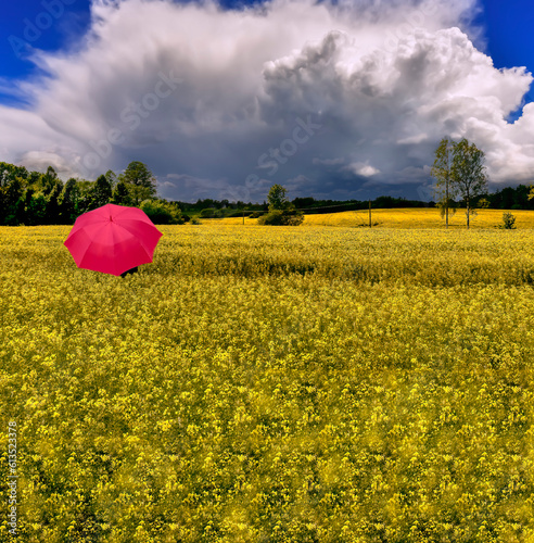 Lonely umbrella among the field with blossom rapeseed, just before thundersto...