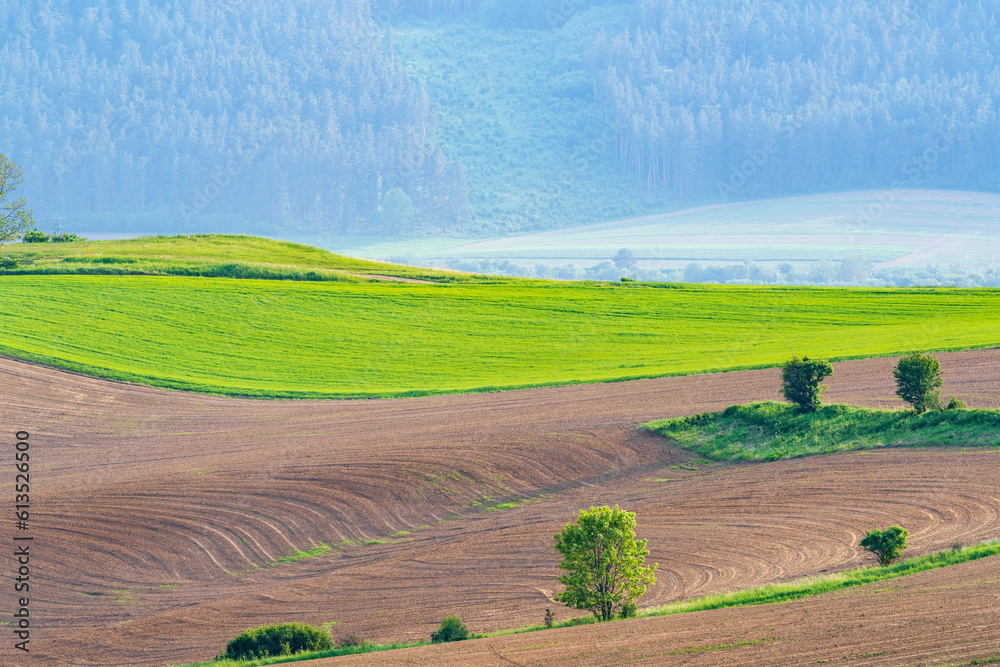 Beautiful Rolling Hills waiting for the grain harvest, Slovakia.