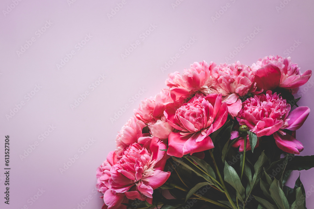 Beautiful pink peony flowers on a pink background with copy space for your text top view and flat lay style Beautiful pink peony flowers on a pink background with copy space for your text top view and flat lay style