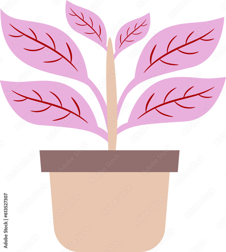 Obraz premium illustration of a plant in a pot. plants with colored leaves