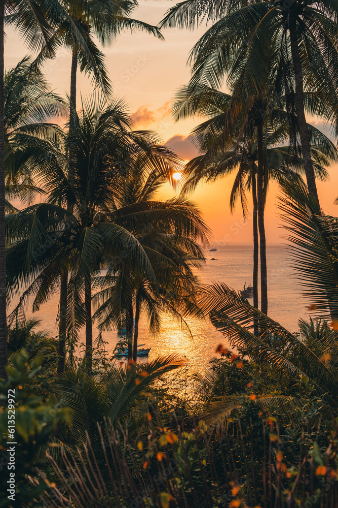 Palm trees and morning sun on the island Palm trees and morning sun on the island