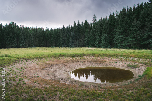 A water hole in a clearing in the Valles Caldera National Preserve, New Mexico