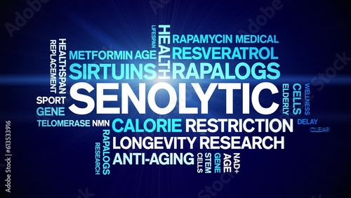 Senolytic animated tag word cloud;text design animation kinetic typography seamless loop. photo