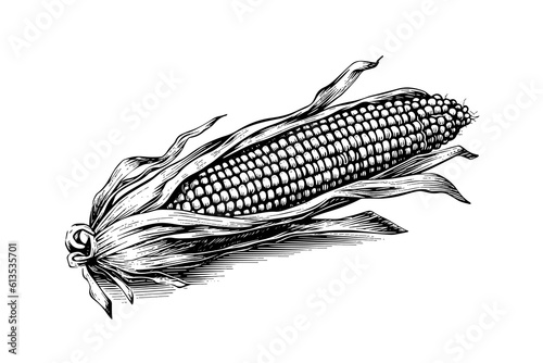 Corn hand drawing sketch vintage engraving vector illustration