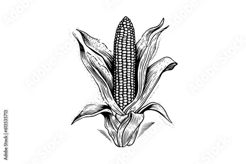 Corn hand drawing sketch vintage engraving vector illustration