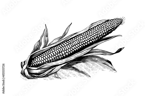 Corn hand drawing sketch vintage engraving vector illustration