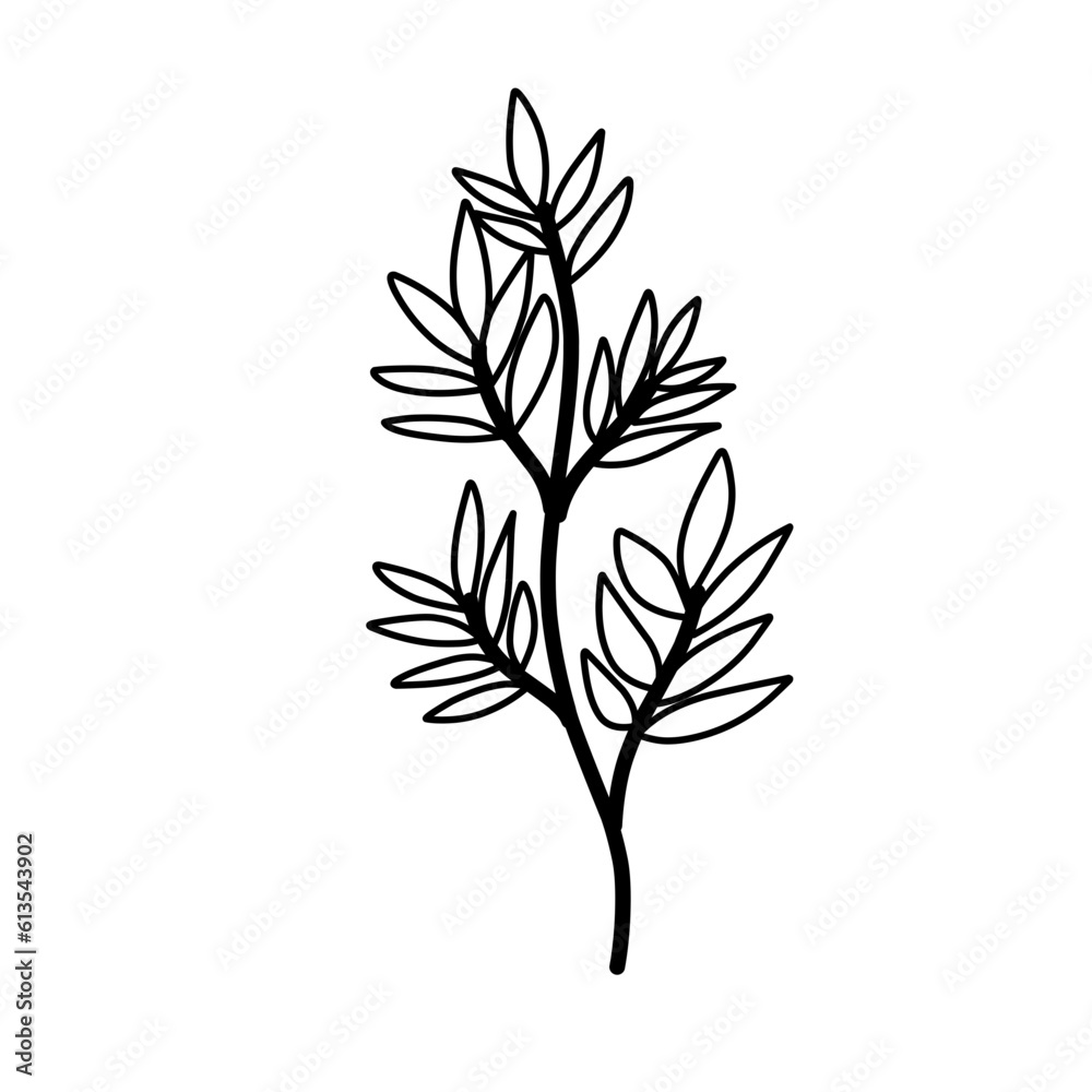Aesthetic Botanical floral line Aesthetic Botanical floral line