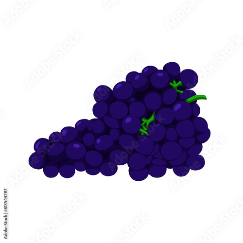 illustration of grapes isolated 