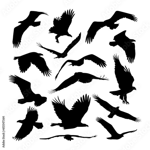 various flying eagle silhouette collection