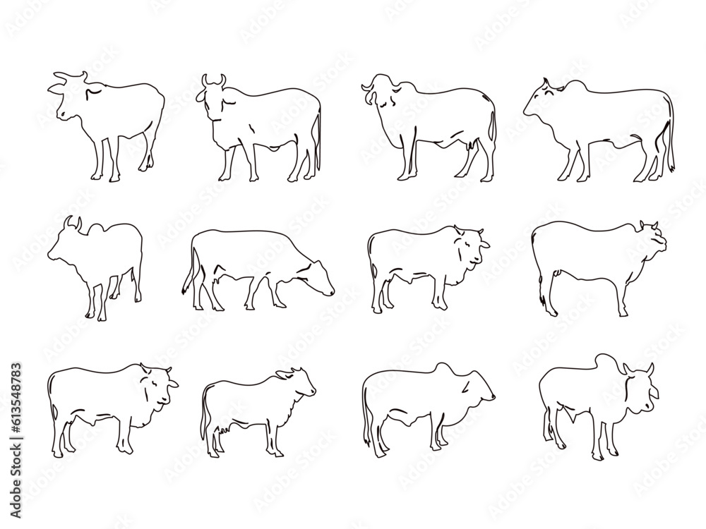Cows line art collection black and white Cows line art collection black and white