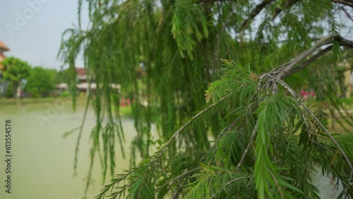 Landscape design in the park. Religious complex Dan vien Xito Thanh Mau Tam My Ca in Cam Ranh in Vietnam. photo