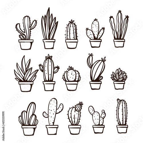 collection of hand drawn cactus