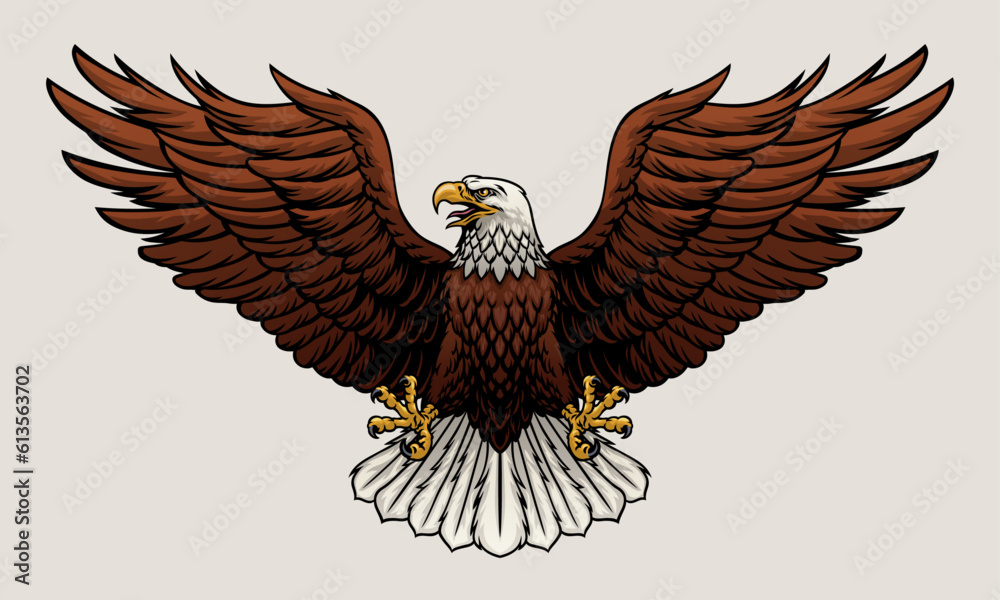 Fototapeta premium Bald Eagle Spread the Wing Vector Illustration