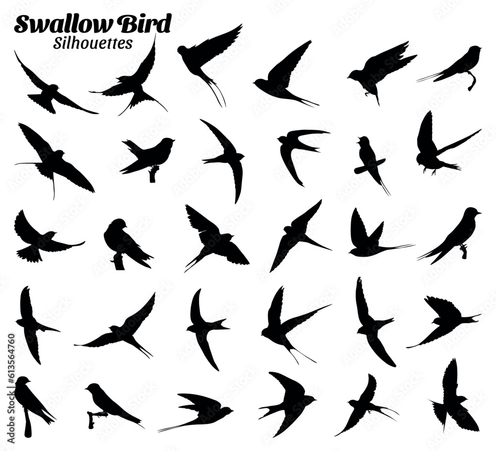 Swallow bird silhouettes vector illustration set Swallow bird silhouettes vector illustration set