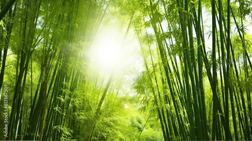 Tranquility in the Asian Bamboo Forest  Bathed in Morning Sunlight. Generative AI