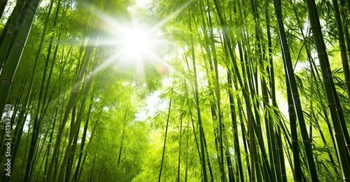 Tranquility in the Asian Bamboo Forest, Bathed in Morning Sunlight. Generative AI