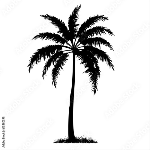 Palm Tree Silhouette Vector Illustration