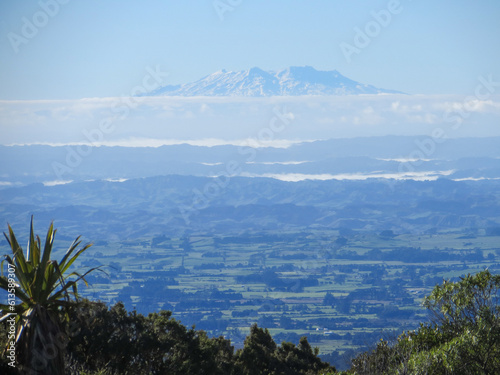 Stunning view from the Egmont Visitor Centre across the green fields and forests of Taranaki towards the snow-covered summit of Mt Ruapehu in New Zealand s Central North Island