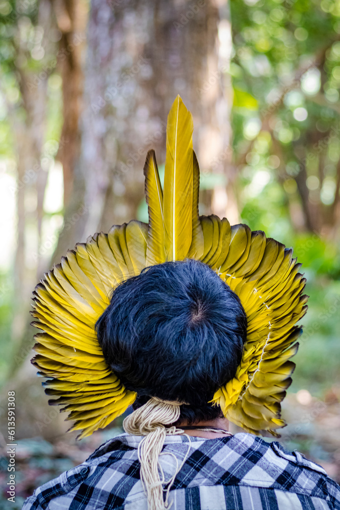 Φωτογραφία Sao Paulo, SP, Brazil - September 25 2021: Yellow headdress of the Brazilian native peoples details