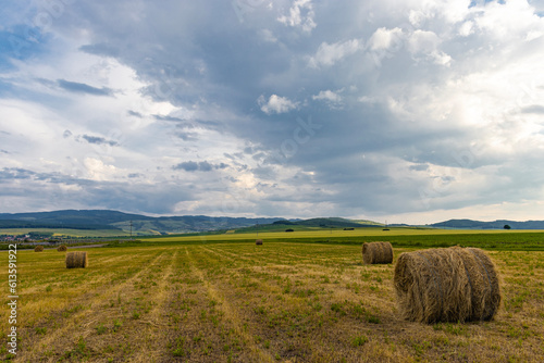 Rural landscape photography of a field with straw bales in the summer. Photo was taken in mid day, with cloudy skies.