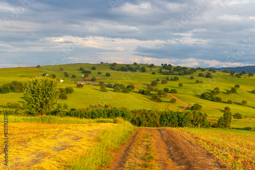 Rural landscape photography with grain fields and meadows, taken in the summer, on cloudy weather, at sunset. 