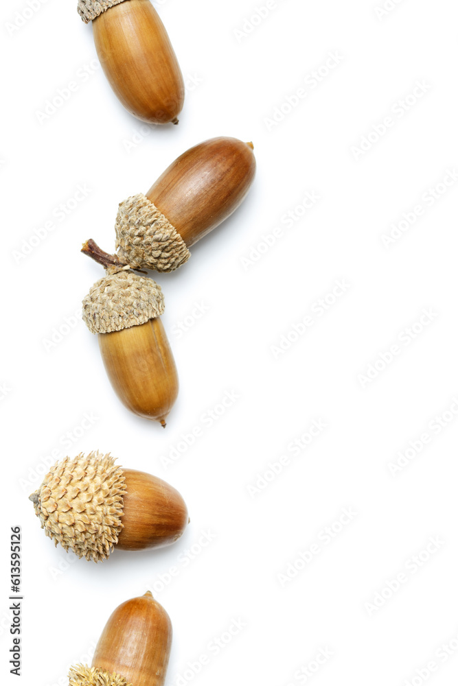 Natural Acorns pattern isolated on white background. Autumn time minimal concept. Fall harvest season, autumnal natural materials, dried seed oak tree. Trend top view flat lay, aesthetics fall Natural Acorns pattern isolated on white background. Autumn time minimal concept. Fall harvest season, autumnal natural materials, dried seed oak tree. Trend top view flat lay, aesthetics fall