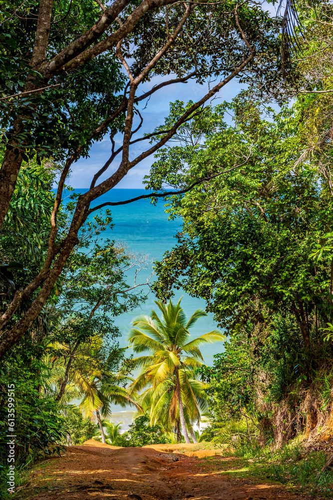Obraz premium Arrival at Prainha, a beautiful small beach surrounded by preserved rainforest in Serra Grande on the south coast of Bahia, Brazil