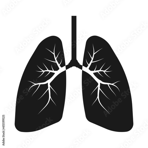 Human lungs icon isolated on white background. Vector illustration.