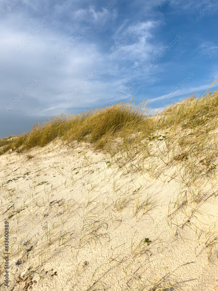 Sandy dunes on Furadouro beach