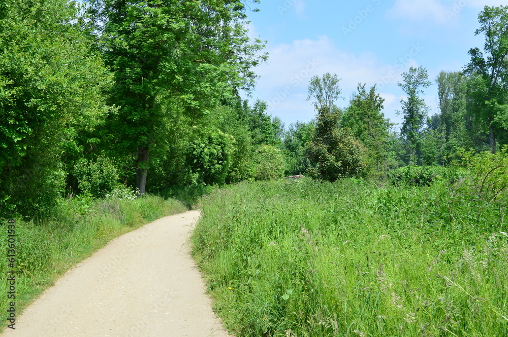 Obraz premium wandern im Naturschutzgebiet