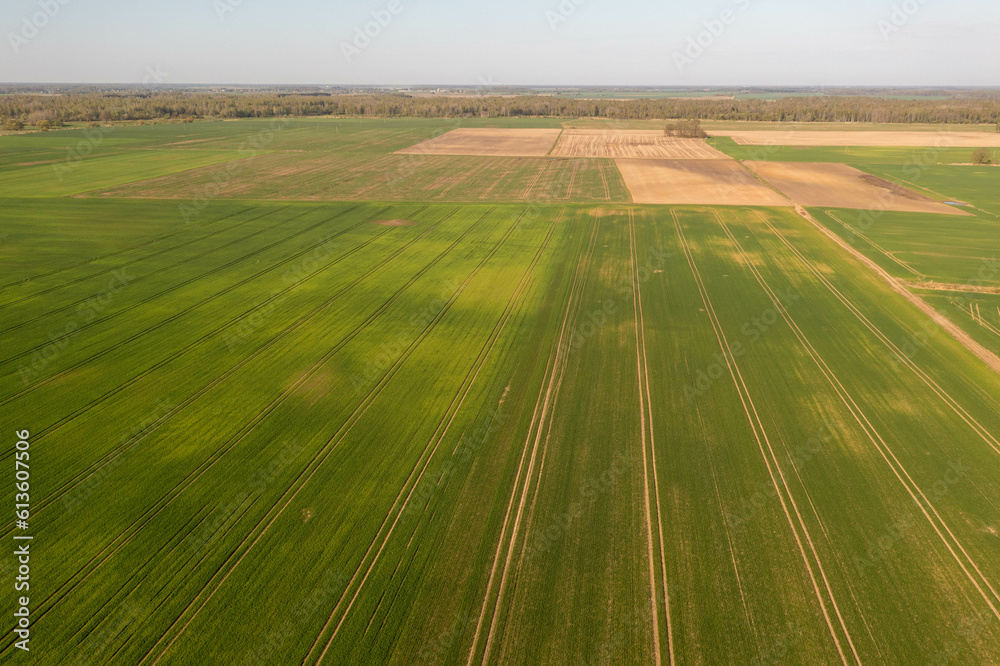 Obraz premium Drone photography of agricultural field and tractor tire tracks