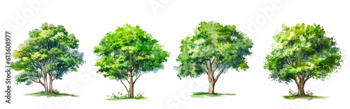 Collection of watercolor green tree isolated on white background. PNGs transparent background. AI Generative.