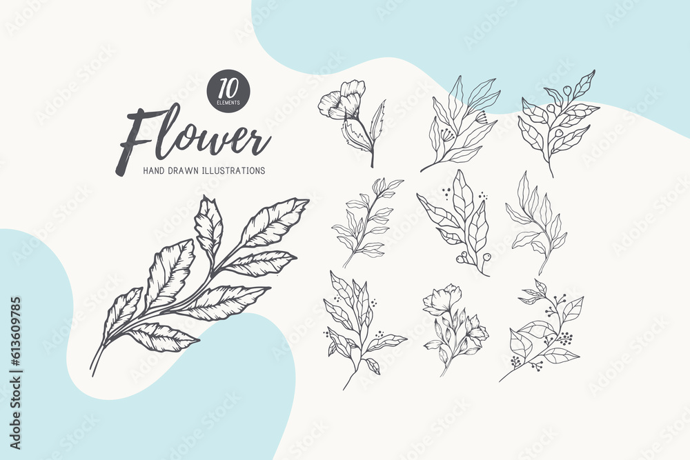 Obraz premium Collection of hand drawn spring flowers and plants. Monochrome vector illustrations in sketch style.