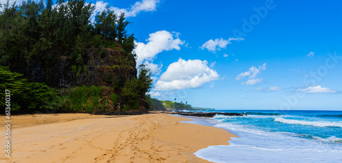 Waves on The Sandy Shore of Kauapea Beach, Kauai, Hawaii, USA photo