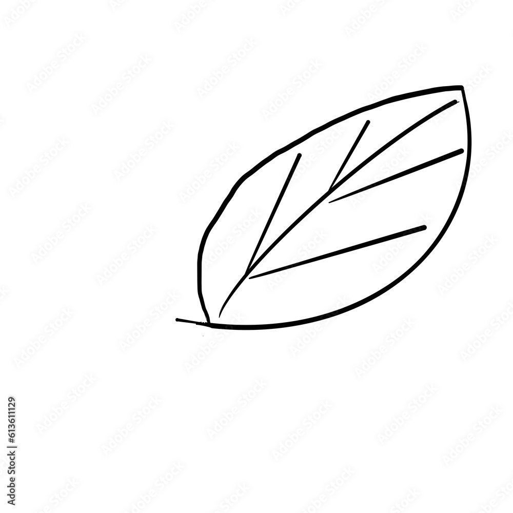 Leaf Leaf