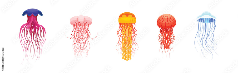 Fototapeta premium Colorful Jellyfish with Umbrella-shaped Bell and Trailing Tentacles Vector Set