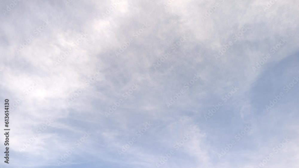 Birds fly quietly in the morning Birds fly quietly in the morning