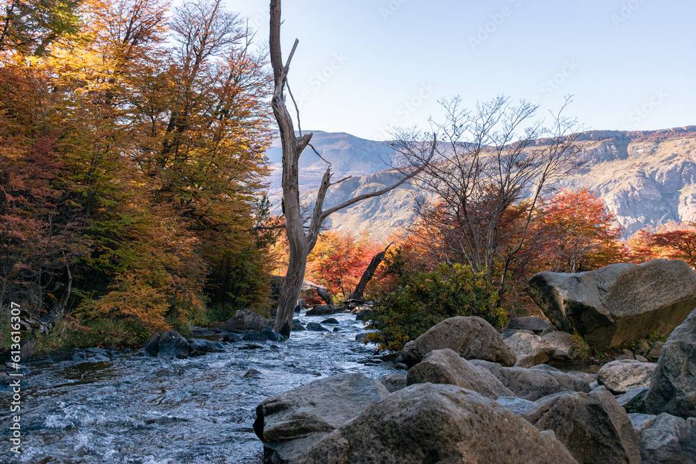 Photo of a river running through an autumn forest