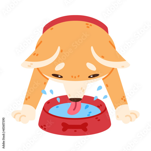 Akita Inu Dog and Domestic Animal or Pet Drink from Bowl Vector Illustration