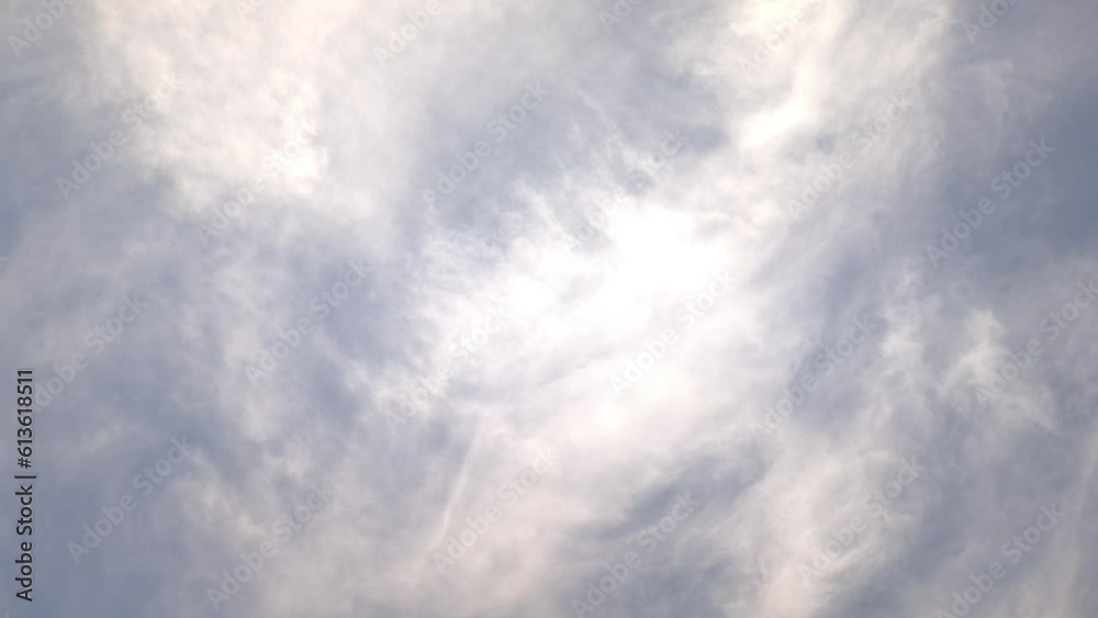 Birds flying in the morning in a bright sky Birds flying in the morning in a bright sky