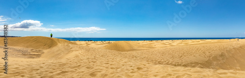 Dünen von Maspalomas, an der atlantischen Küste der Insel Gran Canaria in Spanien, ein Panorama.