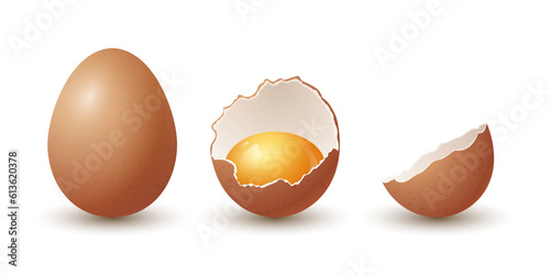 Vector 3d Realistic Brown Chicken Eggs. Textured Whole and Broken Cracked Chicken Egg, Two Parts, Opened Crack Raw Chicken Egg With Yolk Isolated. Vector Eggs Isolated. Whole, Half Egg in Front View