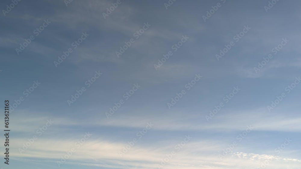 Birds flying in the morning through the blue sky Birds flying in the morning through the blue sky