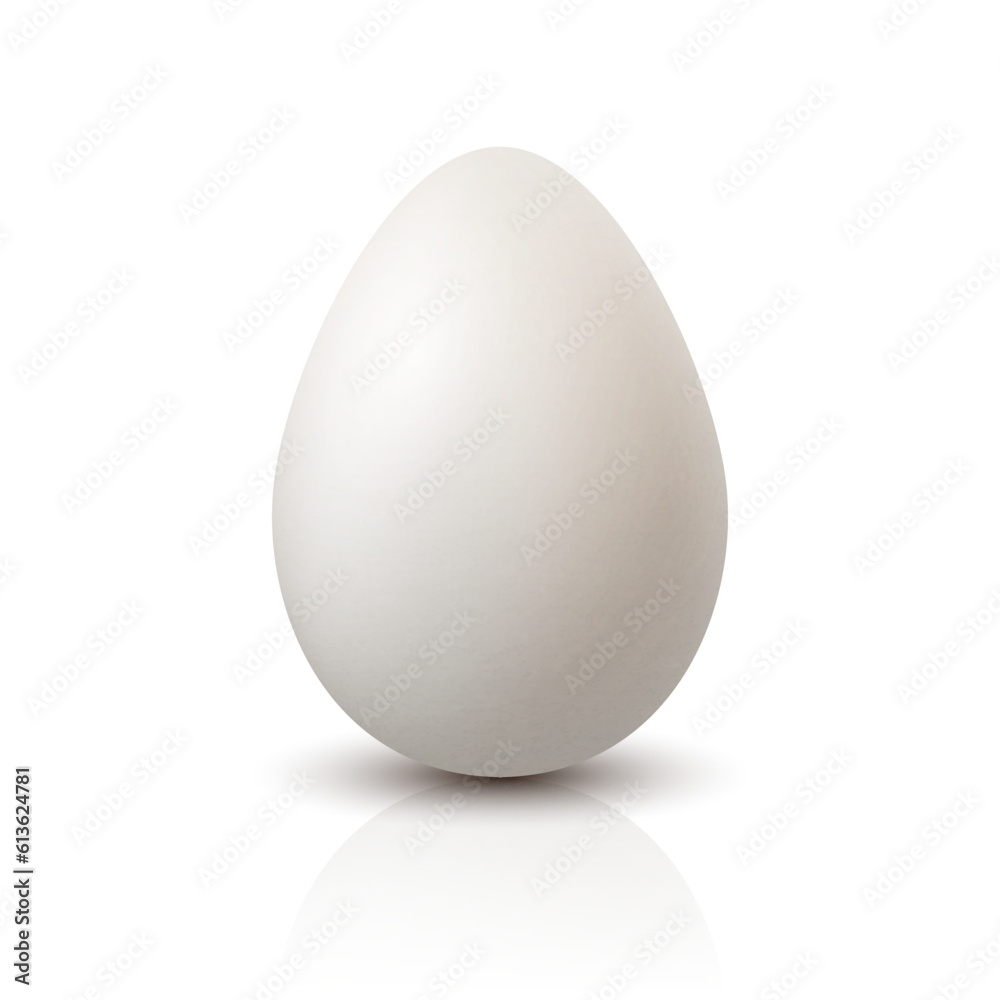 Vector 3d Realistic White Chicken Egg Closeup. Textured Chicken Egg Icon, Isolated. Vector Bird Whole Egg in Front View Vector 3d Realistic White Chicken Egg Closeup. Textured Chicken Egg Icon, Isolated. Vector Bird Whole Egg in Front View