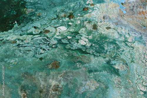 Bright blue-green algae (cyanobacteria) on water and beach sand. Close-up of a harmful algal blooms and decay. Abstract background with green toxic texture.